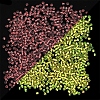 Glow in the Dark Luminous Transparent Glass Round Seed Beads LUMI-PW0004-006A-05-1