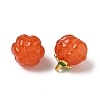 Glass Charms GLAA-P072-04G-10-2