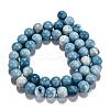 Natural Gemstone Beads Strands G-L367-01-10mm-6