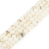Natural Cultured Freshwater Shell Beads Strands BSHE-H109-03C-1