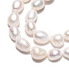 Natural Cultured Freshwater Pearl Beads Strands PEAR-N028-05-4
