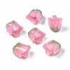 Plastic Beads X-KY-N015-037F-1
