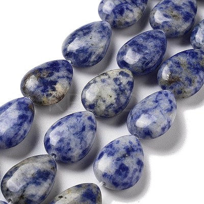 Natural Blue Spot Jasper Beads Strands G-P528-L17-01-1