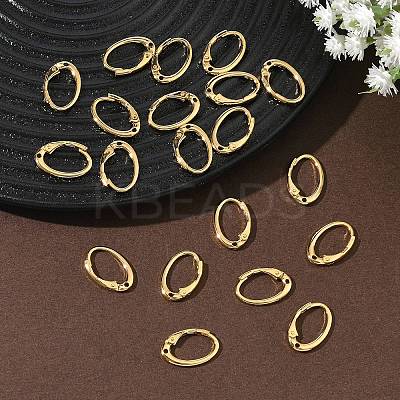 SHEGRACE Brass Leverback Earring Findings XGR0070G-73G-1