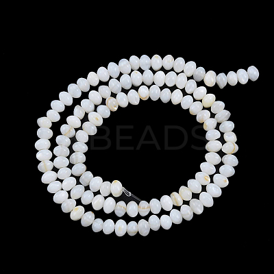 2 Strands Natural Freshwater Shell Beads Strands SHEL-NB0001-51-1