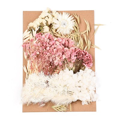 Dried Flower DIY-B018-14-1
