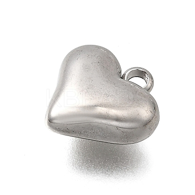 304 Stainless Steel Charms STAS-Z163-03P-1