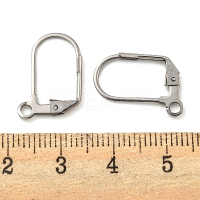 Non-Tarnish 304 Stainless Steel Leverback Earring Findings STAS-P360-02B-P-1