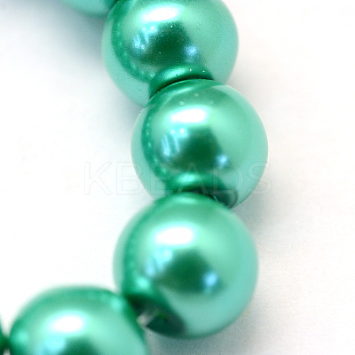 Baking Paint Pearlized Glass Pearl Round Bead Strands X-HY-Q003-10mm-29-1