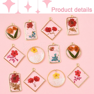 12Pcs 6 Styles Transparent Clear Epoxy Resin Pendants RESI-FS0001-88A-1