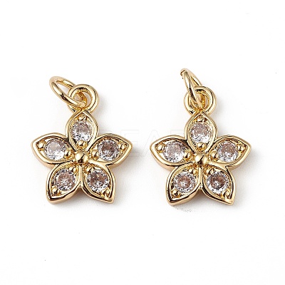 Rack Plating Brass Micro Pave Cubic Zirconia Charms KK-F848-13G-1