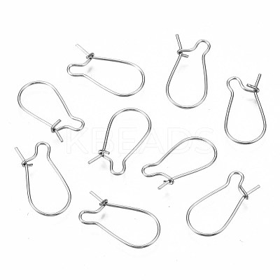 Tarnish Resistant 304 Stainless Steel Hoop Earring Findings STAS-S117-008B-01-1