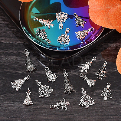 100pcs 10 Style Tibetan Style Alloy Charms TIBEP-CJ0001-40-1