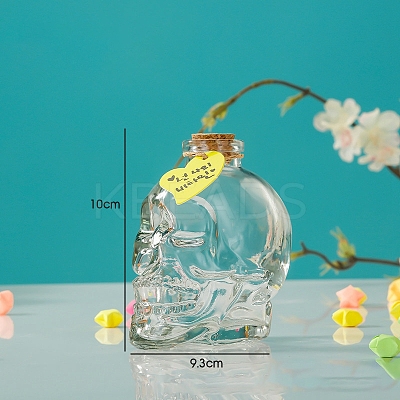 Skull Glass Empty Wishing Bottle BOTT-PW0003-004P-1
