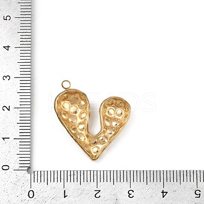 304 Stainless Steel Pendants LS-STAS-B092-10G-1