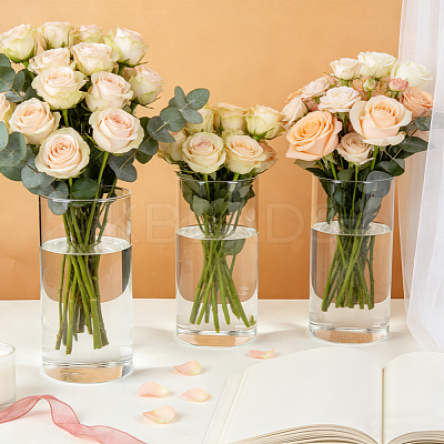 Column Glass Vase Ornaments AJEW-WH0696-770C-1