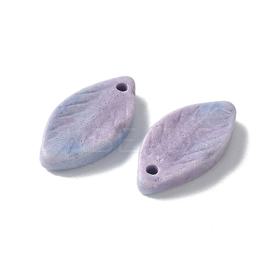 Natural Rainbow Alashan Agate Pendants G-G194-03-1