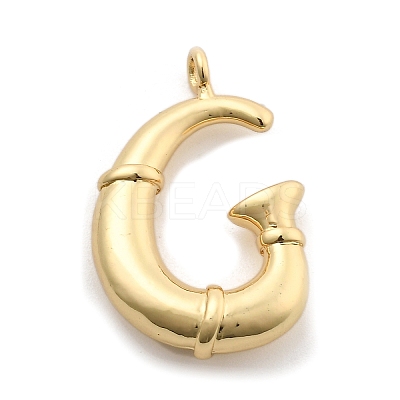 Rack Plating Brass Pendants KK-I722-08G-G-1