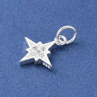S925 Sterling Silver Micro Pave Cubic Zirconia Pendant STER-H115-02B-S-1