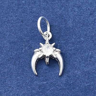 925 Sterling Silver Micro Pave Cubic Zirconia Charms STER-D309-01A-S-1