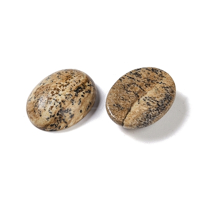 Natural Picture Jasper Cabochons G-B080-01A-11-1