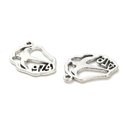 Tibetan Style Alloy Pendants FIND-H053-06AS-1