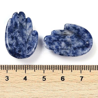 Natural Blue Spot Jasper Pendants G-K359-03C-1