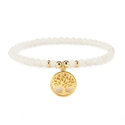 Stone Stretch Bracelets Set BJEW-JB07333-1
