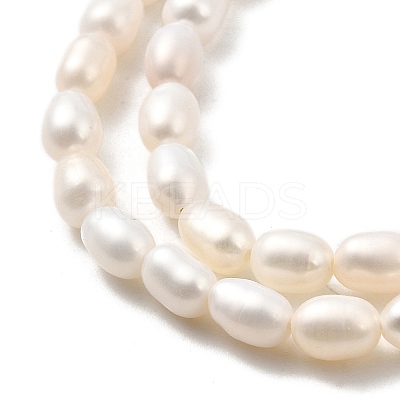 Natural Cultured Freshwater Pearl Beads Strands PEAR-I007-01N-02A-1