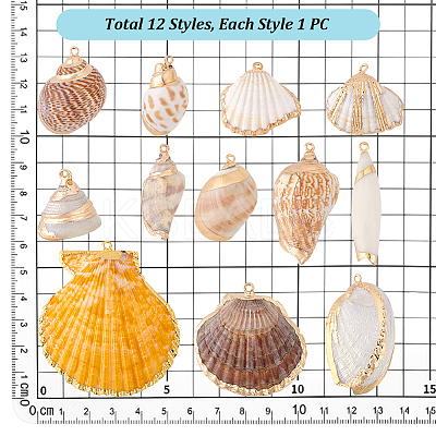 12Pcs 12 Styles Electroplated Natural Shell Pendants BSHE-PH0001-56-1