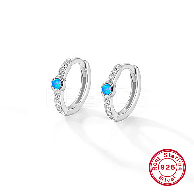 Anti-Tarnish Rhodium Plated 925 Sterling Silver Micro Pave Cubic Zirconia Hoop Earrings for Women HC3863-2-1