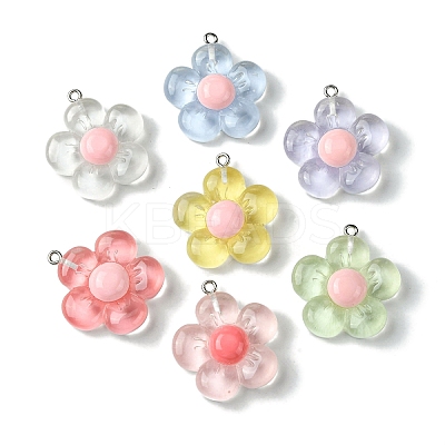Translucent Resin Pendants RESI-P039-01P-1