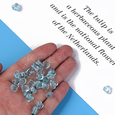 Transparent Acrylic Beads MACR-S373-95-B15-1