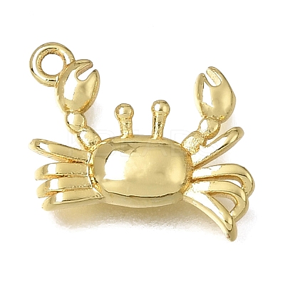 Brass Charms KK-K427-49G-1