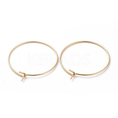 316 Surgical Stainless Steel Hoop Earring Findings LS-X-STAS-J025-01C-G-1