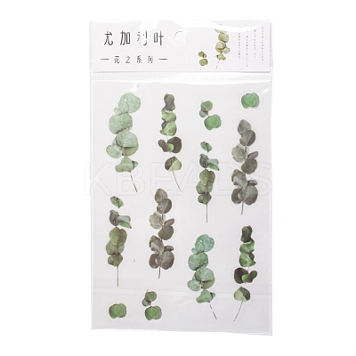Flower Pattern Waterproof Self Adhesive Hot Stamping Stickers DIY-I063-06-1