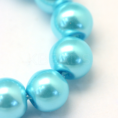 Baking Paint Pearlized Glass Pearl Round Bead Strands X-HY-Q003-12mm-48-1