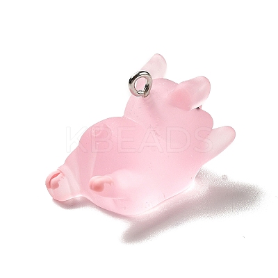 Translucent Resin Pendants LS-RESI-E031-01P-06-1