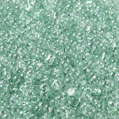 Glass Seed Beads SEED-L011-05B-14-1