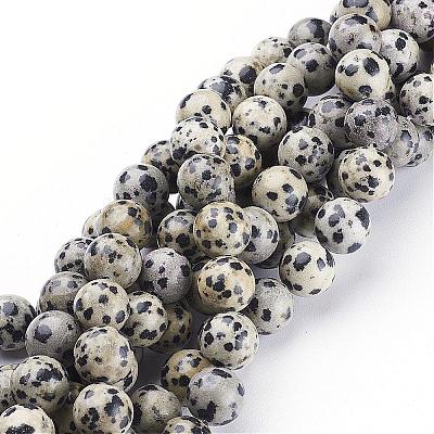 Natural Dalmatian Jasper Beads Strands GSR10mmC004-1