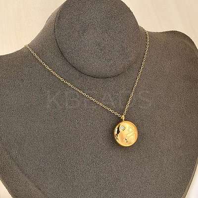 304 Stainless Steel Clear Cubic Zirconia Constellation Pendant Necklaces NJEW-R021-02G-09-1