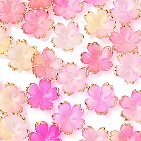 50Pcs Acrylic Bead Caps OACR-YW0002-67G-1