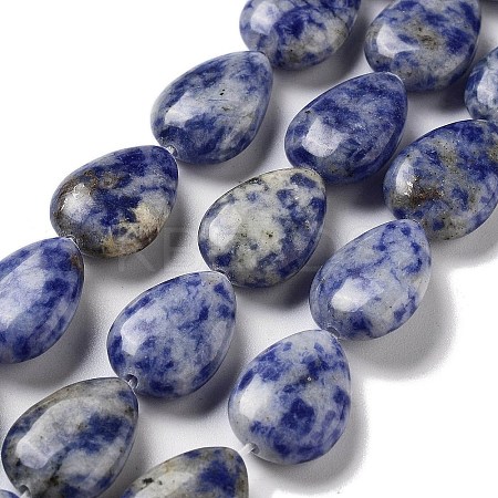 Natural Blue Spot Jasper Beads Strands G-P528-L17-01-1