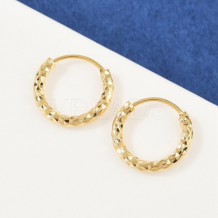 Brass Textured Hoop Earrings EJEW-F378-03A-G-1