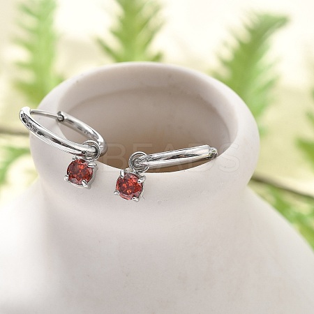304 Stainless Steel Micro Pave Cubic Zirconia Hoop Earrings STAS-R004-02P-01-1