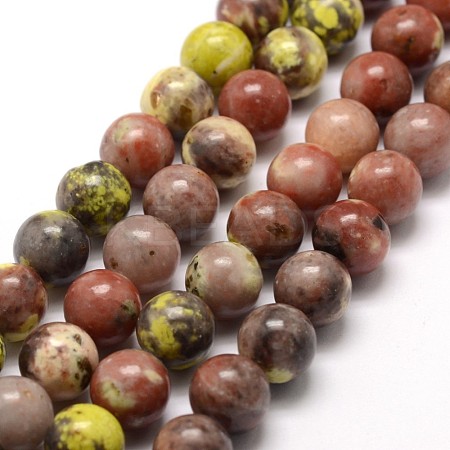 Natural Plum Blossom Jasper Beads Strands G-A163-02-8mm-1