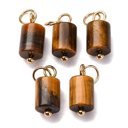 Natural Tiger Eye Column Charms with 304 Stainless Steel Jump Rings G-Q032-01A-1