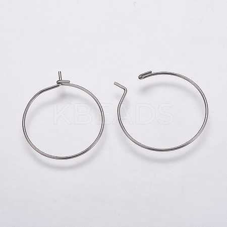 316 Surgical Stainless Steel Hoop Earrings Findings LS-X-STAS-K146-039-20mm-1