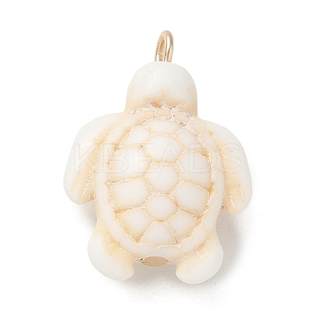 Brass & Resin Pendants RE-CBA9A00-01G-02-1