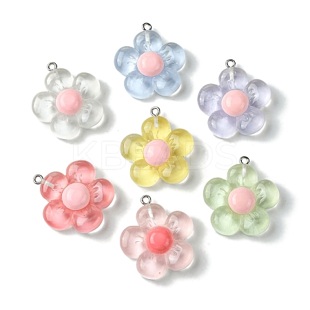 Translucent Resin Pendants RESI-P039-01P-1